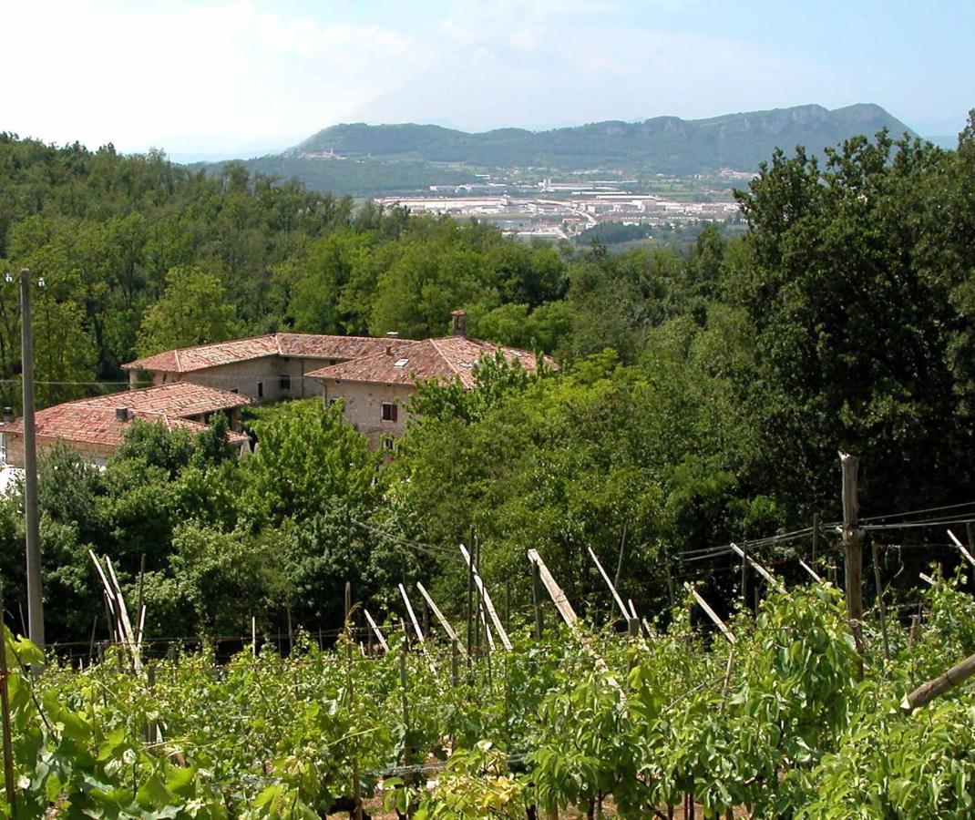Agriturismo Ca' Verde 산탐브로지오 디 발폴리첼라 외부 사진
