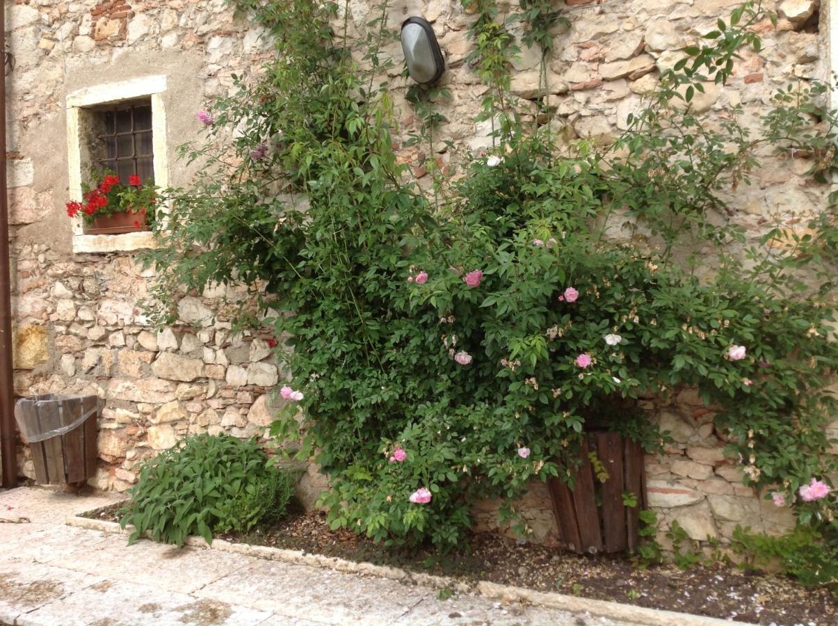 Agriturismo Ca' Verde 산탐브로지오 디 발폴리첼라 외부 사진