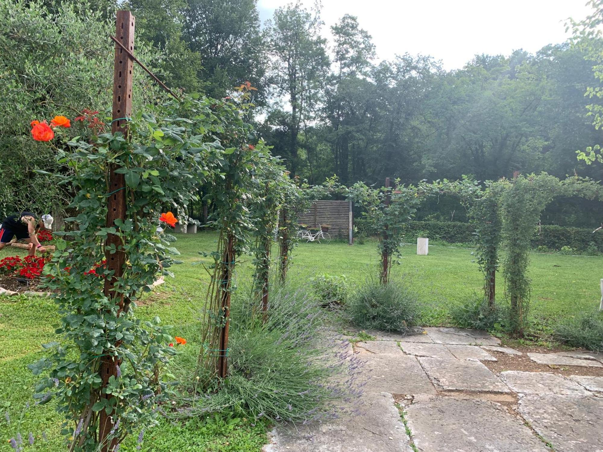 Agriturismo Ca' Verde 산탐브로지오 디 발폴리첼라 외부 사진